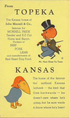 rock chalk googlehawk