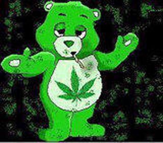 weed teddy bear