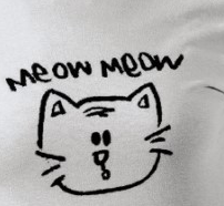 SOMETIMES TWO MEOWS