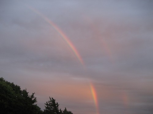 I Saw A Double Rainbow This Weekend The Awl