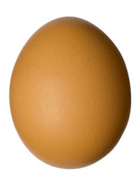 "Felix Salmonella" would be a good -- if extremely obscure -- name for a band
