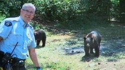 Pot-guarding bears pose with law enforcement