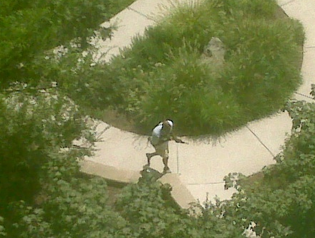 LONE GUNMAN