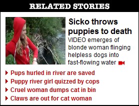 Maybe we should have gone with "Summer of People Tossing Animals Into Things"