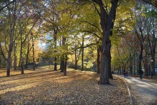 WHERE ARE YOU AUTUMN?