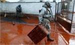 Toxic disaster