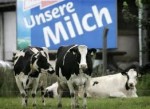 udder success