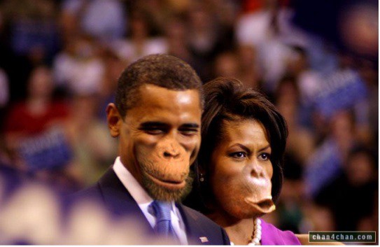 Image result for obama family as monkeys