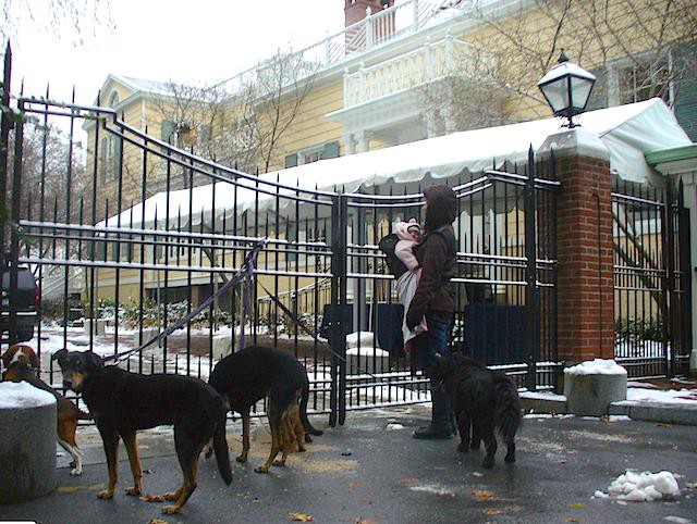 WHO KEPT THE DOGS OUT?
