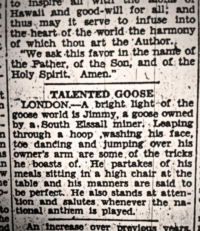 Published 1929
