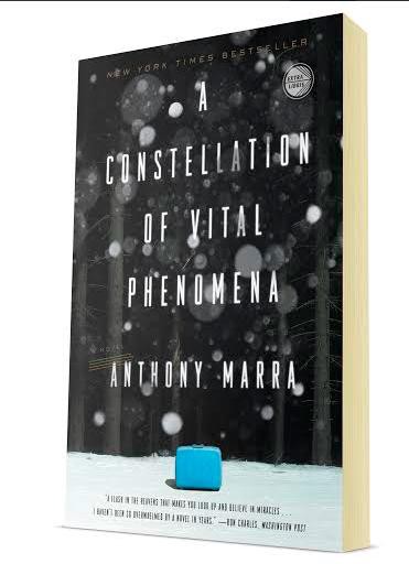 3D book cover