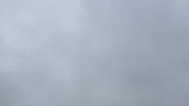 rains