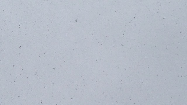 weather review sky 030515