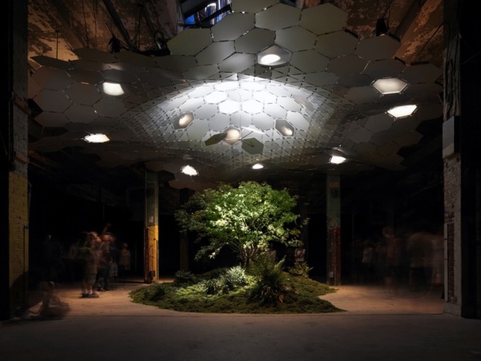 treeof life