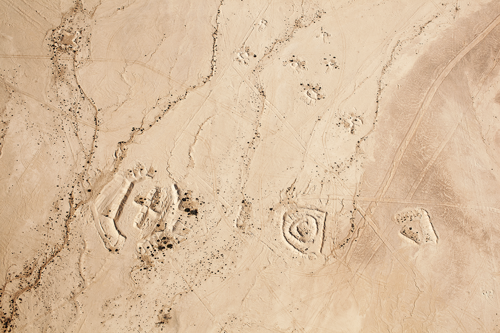 4478_DesertBloom
